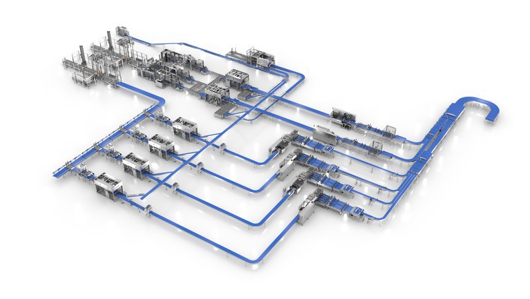 IMMAGINE LINEA.jpeg IMMAGINE LINEA.jpeg