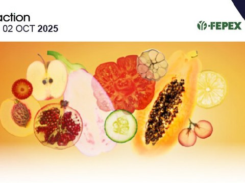 Vuoi migliorare il packaging dei tuoi prodotti? Scopri le soluzioni che ULMA Packaging presenterà a Fruit Attraction 2025