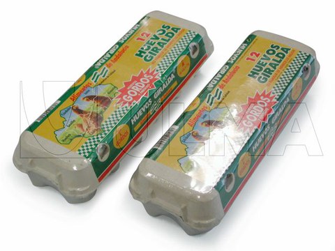 Confezionamento di cartoni di uova in flow pack