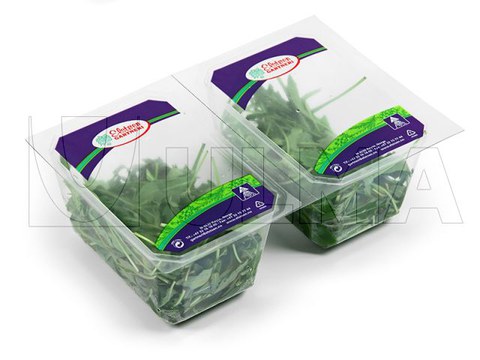 Confezionamento di rucula in termosaldato con atmosfera modificata (MAP)