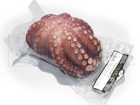 Confezionamento di polipo intero in termoformato sottovuoto