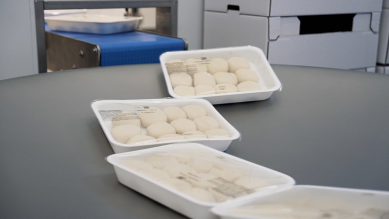 VASCHETTA000.jpg VASCHETTA000.jpg